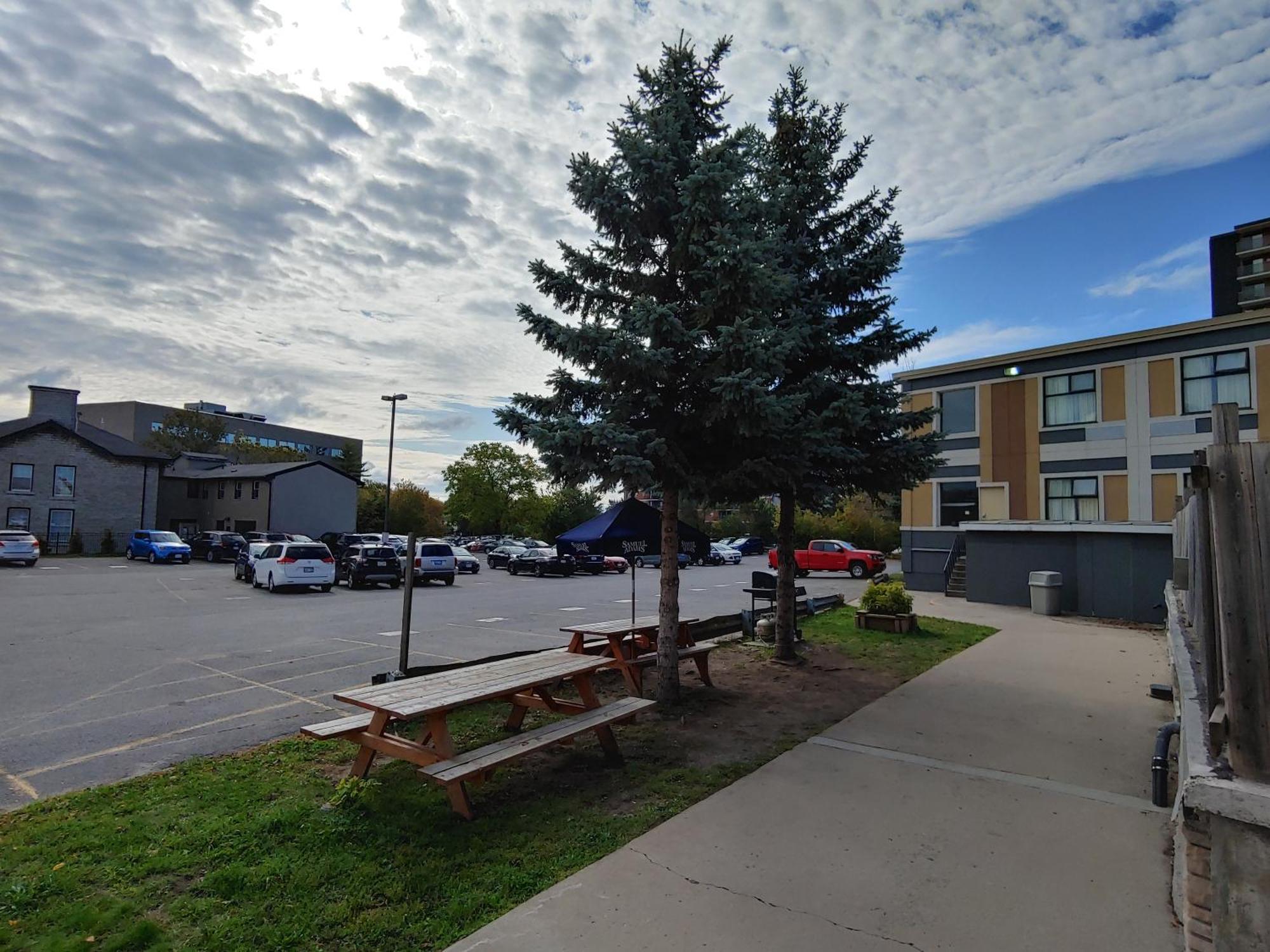 Econo Lodge City Centre Kingston Exteriör bild