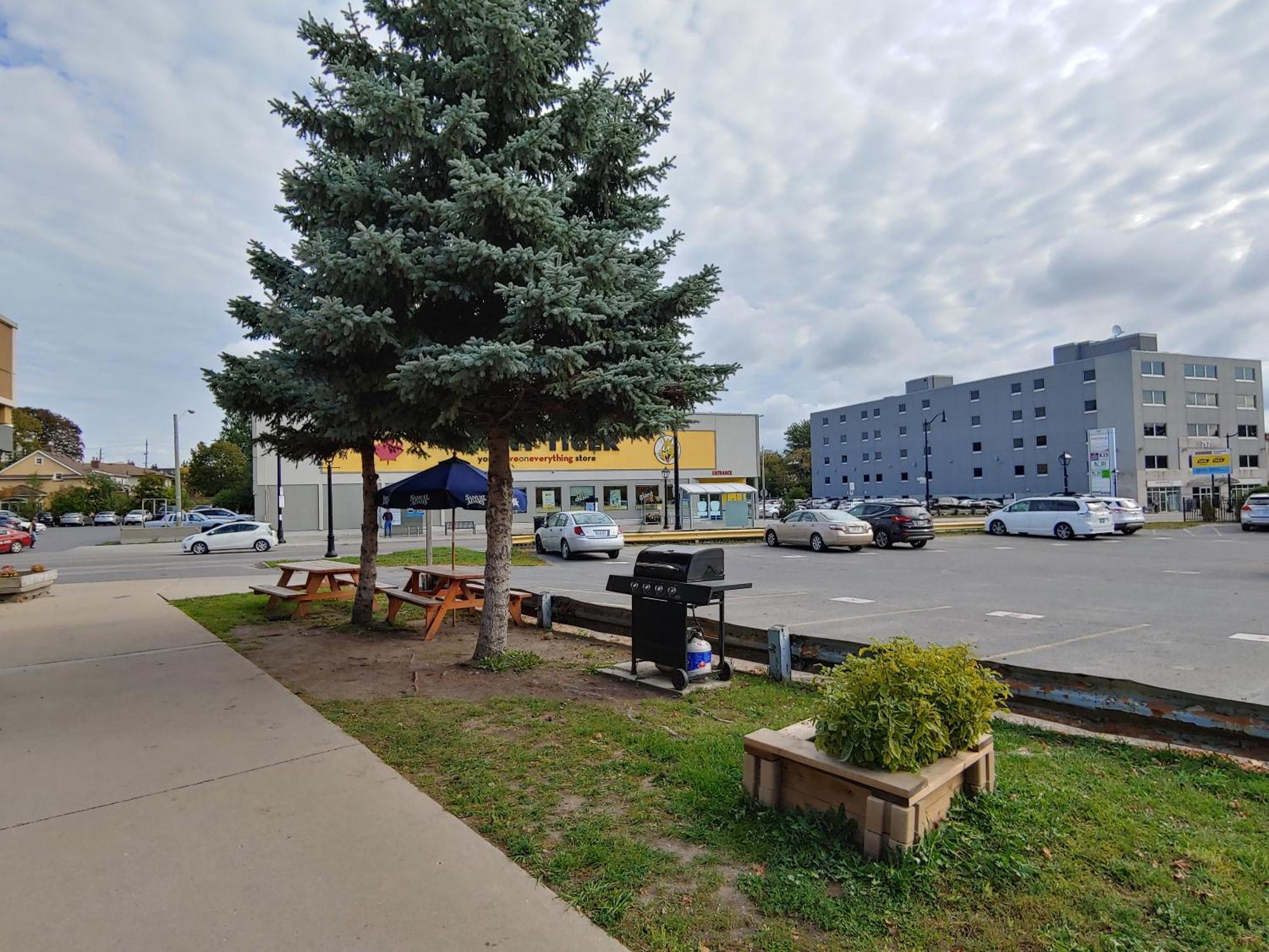 Econo Lodge City Centre Kingston Exteriör bild