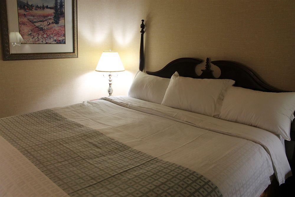 Econo Lodge City Centre Kingston Exteriör bild