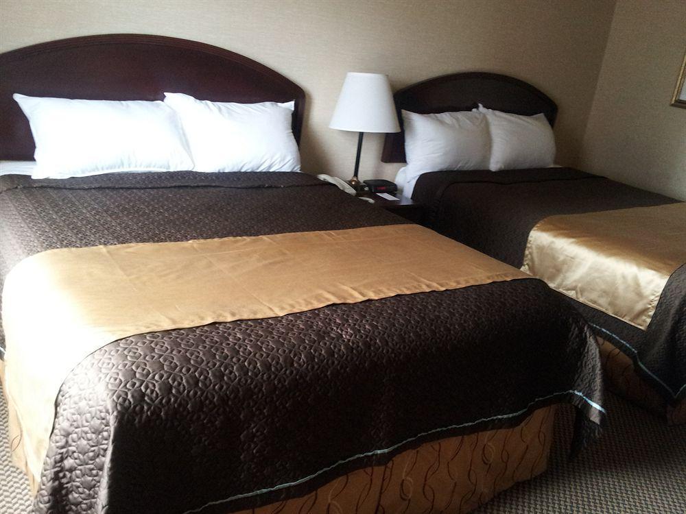 Econo Lodge City Centre Kingston Exteriör bild